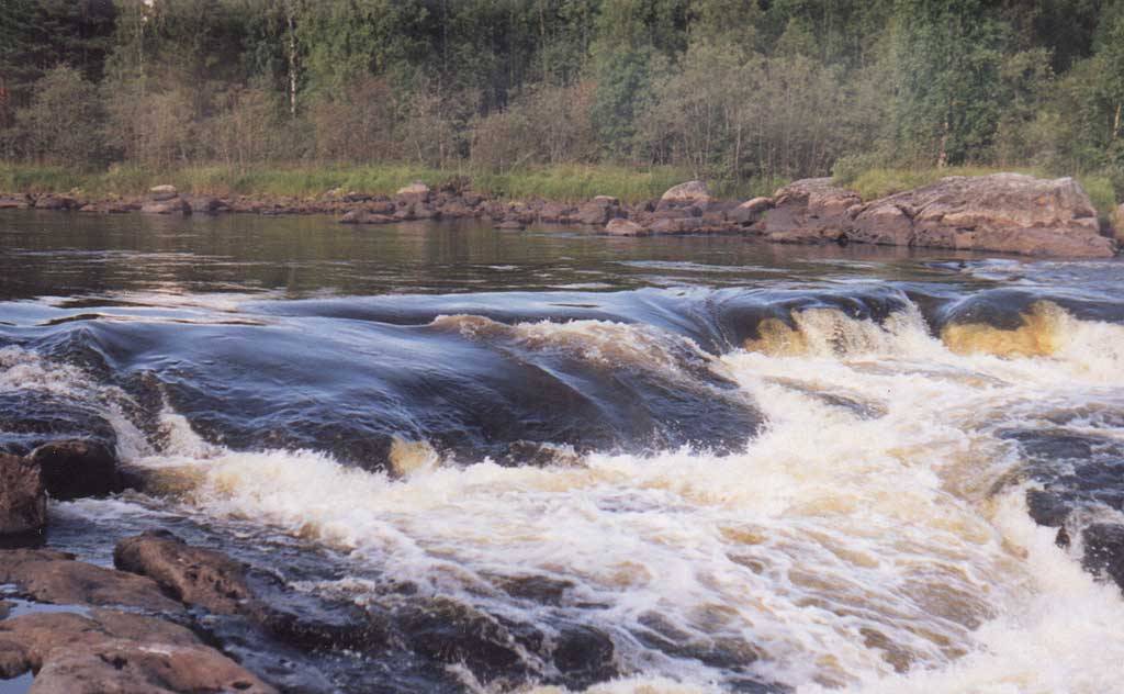 Река Водла в Карелии